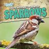 A_bird_watcher_s_guide_to_sparrows