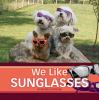 We_like_sunglasses