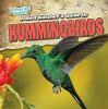 A_bird_watcher_s_guide_to_hummingbirds