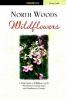 North_Woods_wildflowers