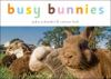 Busy_bunnies