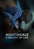 Nightingale__A_Melody_of_Life