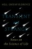 Transient_and_strange